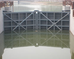 ӵˮ(k)lTlT_(ki)cP(gun)]